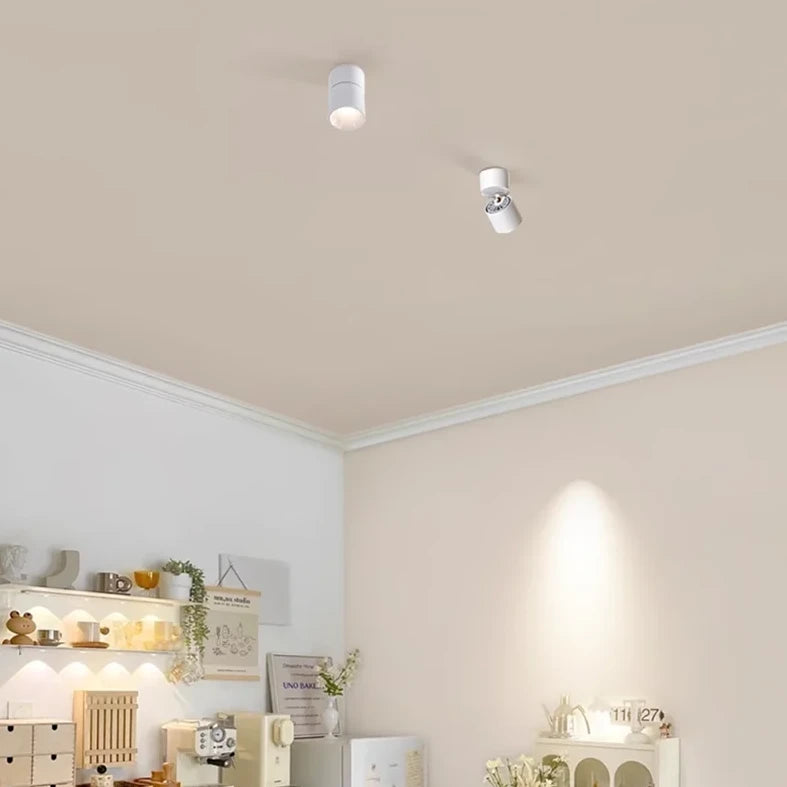 Muireann - Modern Surface Mounted Dimmable LED Ceiling Downlight