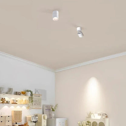 Muireann - Modern Surface Mounted Dimmable LED Ceiling Downlight