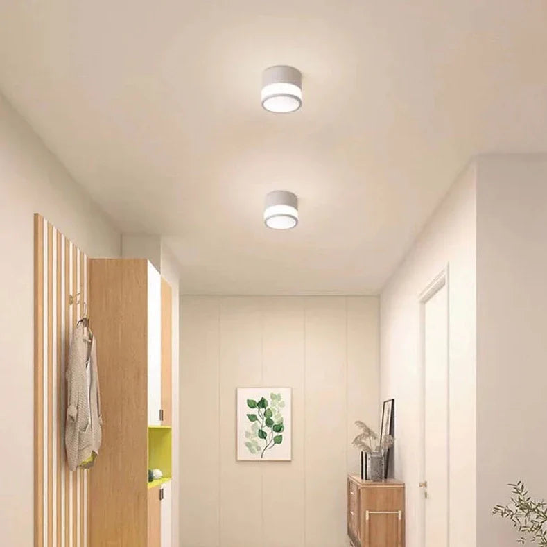 Beathan - Modern Surface Mounted Ceiling Downlight LED