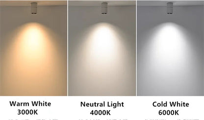 Muireann - Modern Surface Mounted Dimmable LED Ceiling Downlight