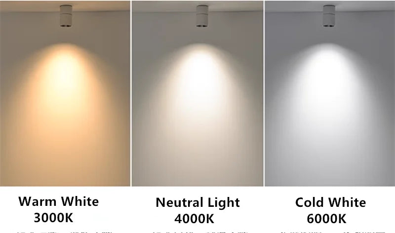 Muireann - Modern Surface Mounted Dimmable LED Ceiling Downlight