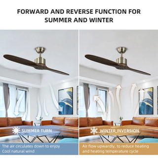 Ritchey - 60Inch 2 Blade Modern Silent Wooden Ceiling Fan with Remote Control