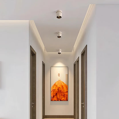 Emerson - Modern Adjustable Dimmable Flush Mount Ceiling Spotlight