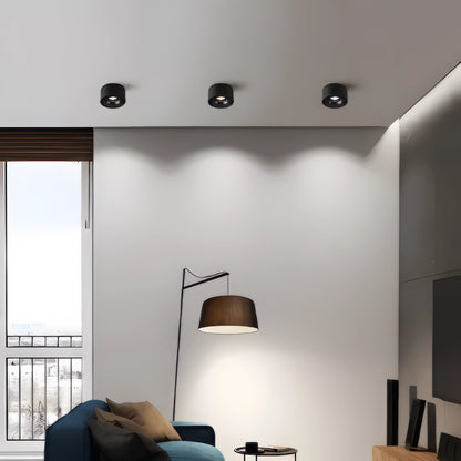 Vasiliev - Anti-Glare Surface Mounted LED Ceiling Downlight Dimmable Spotlight