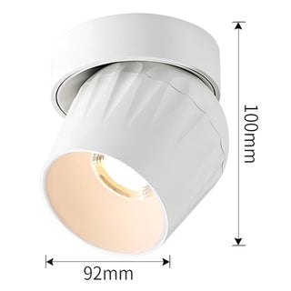 Emerson - Modern Adjustable Dimmable Flush Mount Ceiling Spotlight