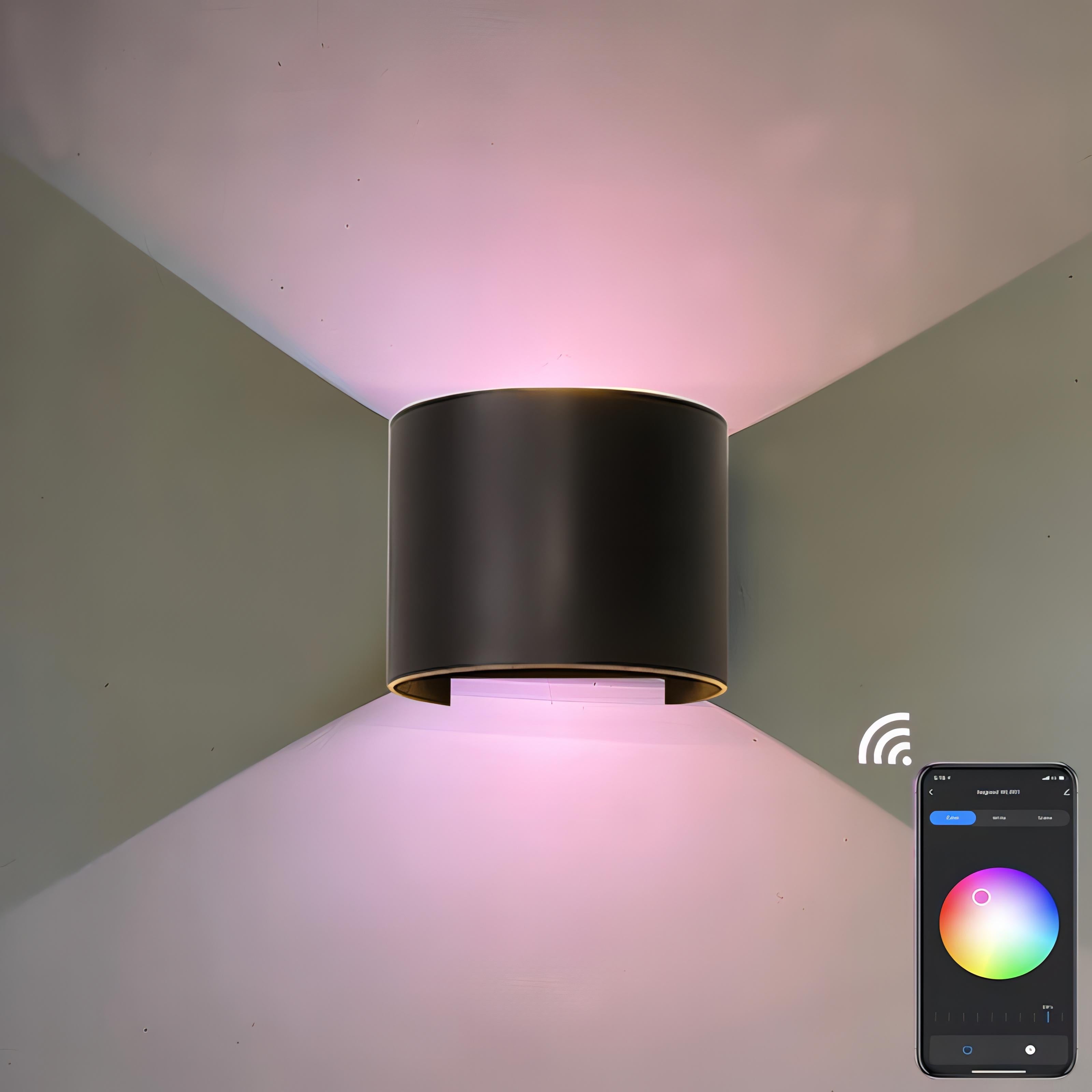 Albus - Semicircle Waterproof Black Outdoor RGB APP Controlled Wall Light