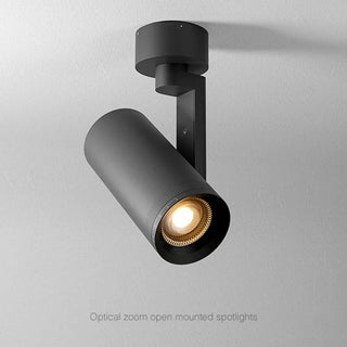 Nebiye - Minimalistic Adjustable Cylindrical Flush-Mount Downlight Ceiling Light