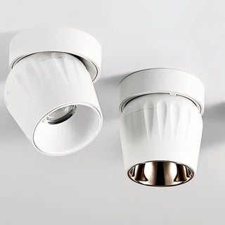 Emerson - Modern Adjustable Dimmable Flush Mount Ceiling Spotlight