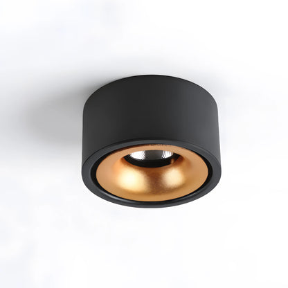 Vasiliev - Anti-Glare Surface Mounted LED Ceiling Downlight Dimmable Spotlight