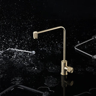 Shrankra - Modern Rotatable Cold Water Kitchen Tap