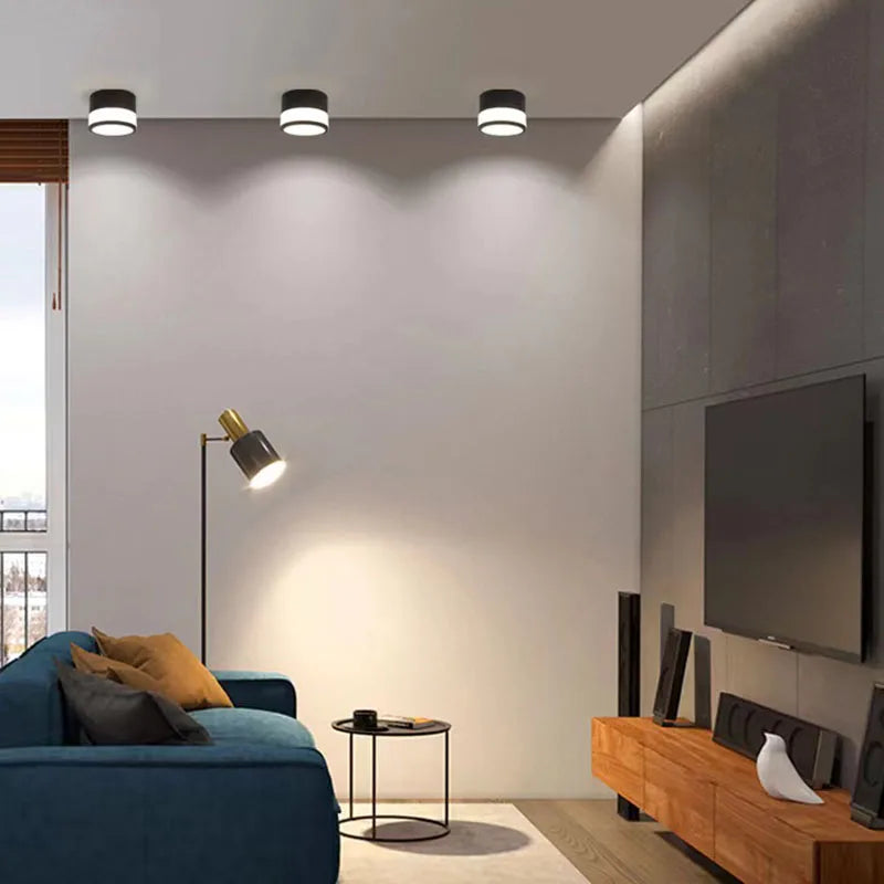 Beathan - Modern Surface Mounted Ceiling Downlight LED