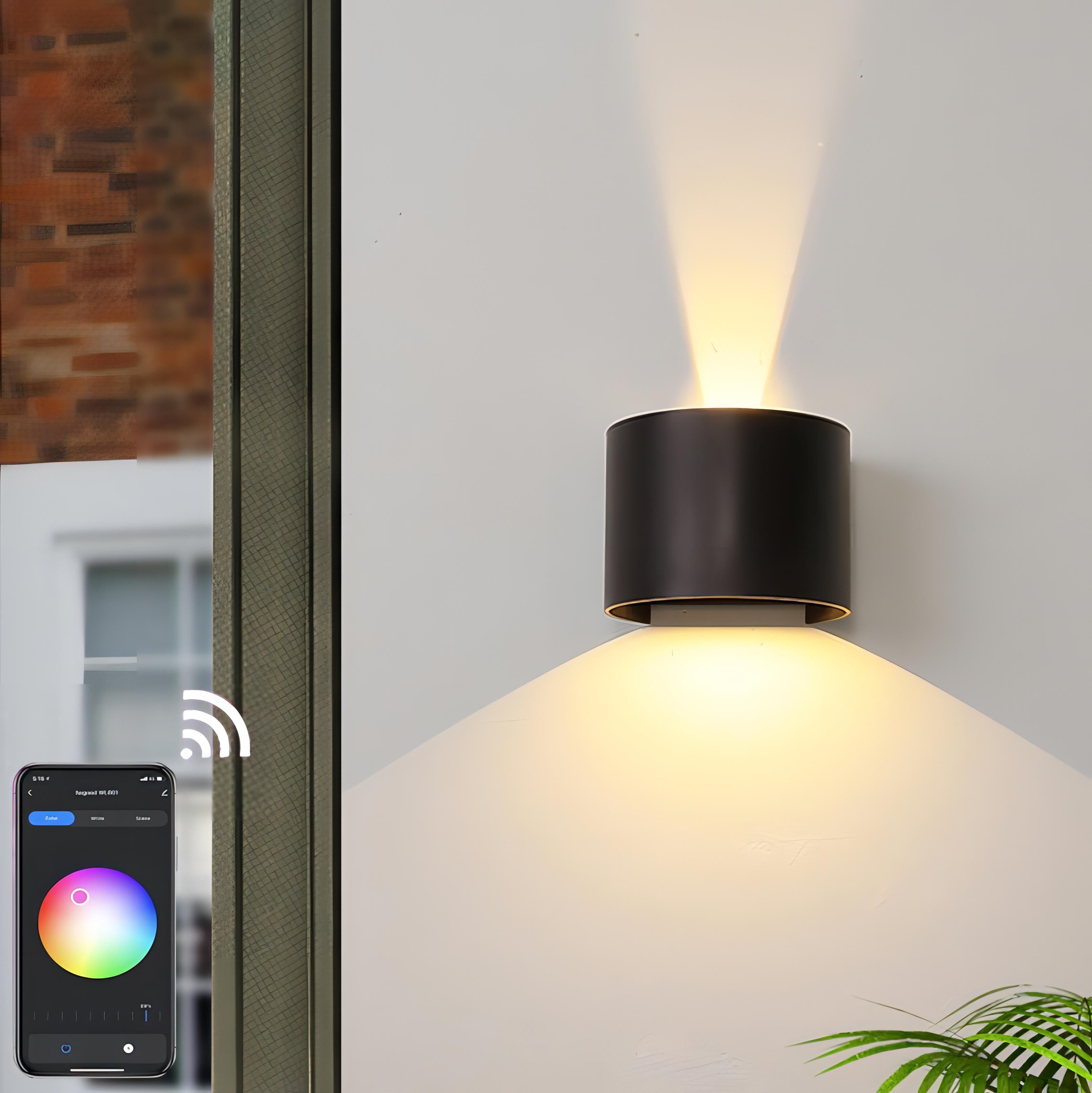 Albus - Semicircle Waterproof Black Outdoor RGB APP Controlled Wall Light