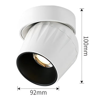 Emerson - Modern Adjustable Dimmable Flush Mount Ceiling Spotlight