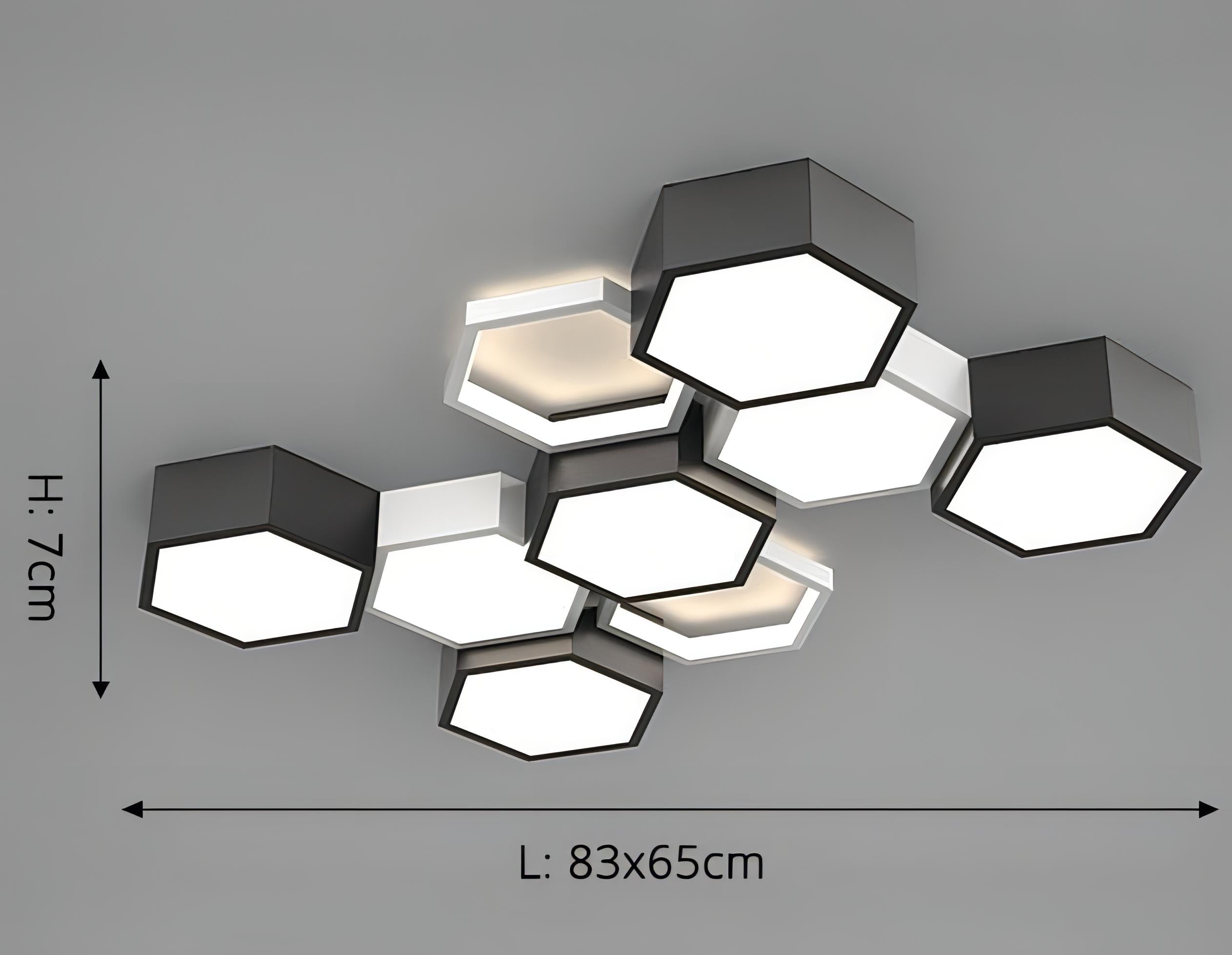 Ignacio - Minimalist Honeycomb Black & White Combination Ceiling Light