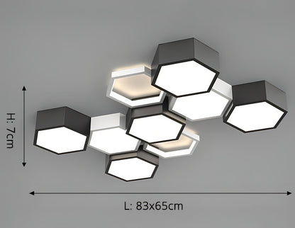 Ignacio - Minimalist Honeycomb Black & White Combination Ceiling Light