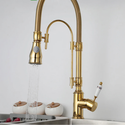 Ryann - Modern Gold Finish Coil Spring Swivel Kitchen Tap