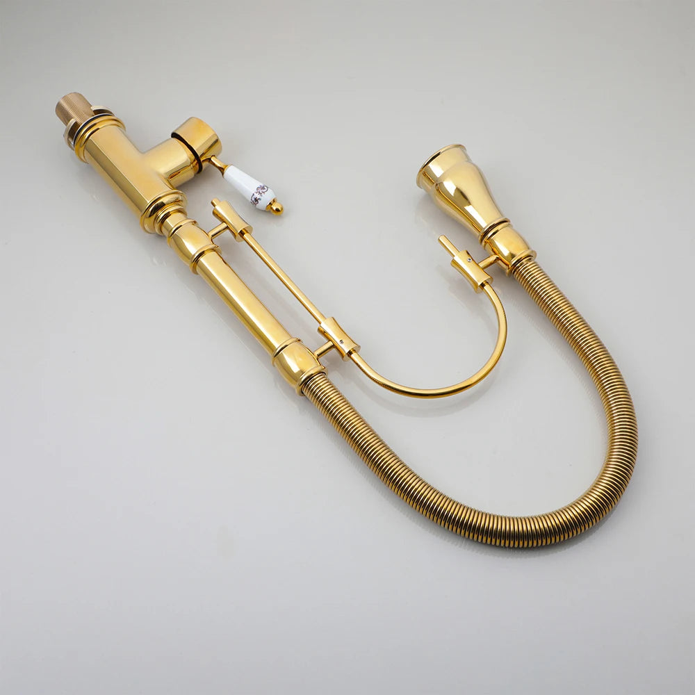 Ryann - Modern Gold Finish Coil Spring Swivel Kitchen Tap