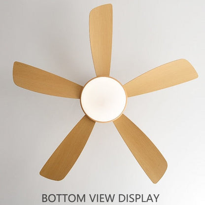 Umair - Nordic Light Ceiling Fan Remote Control