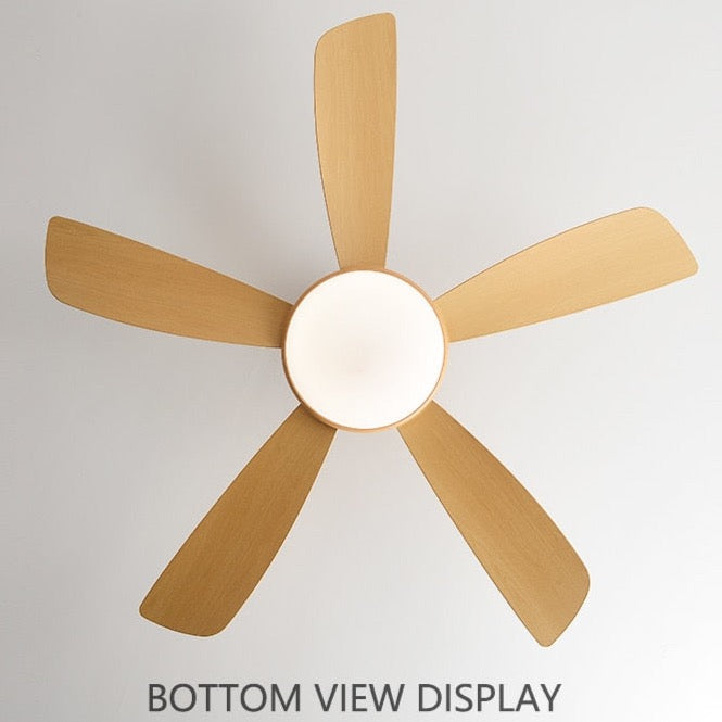 Umair - Nordic Light Ceiling Fan Remote Control