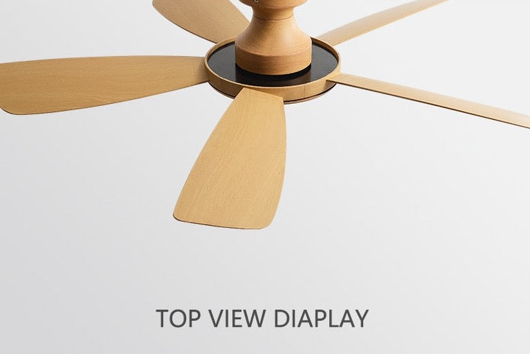 Umair - Nordic Light Ceiling Fan Remote Control