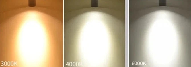 Carroll - Rotatable LED Ceiling Downlight Anti Glare