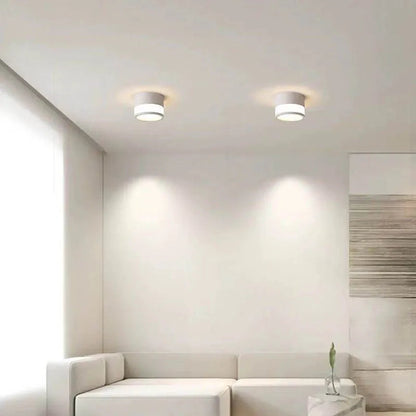 Beathan - Modern Surface Mounted Ceiling Downlight LED