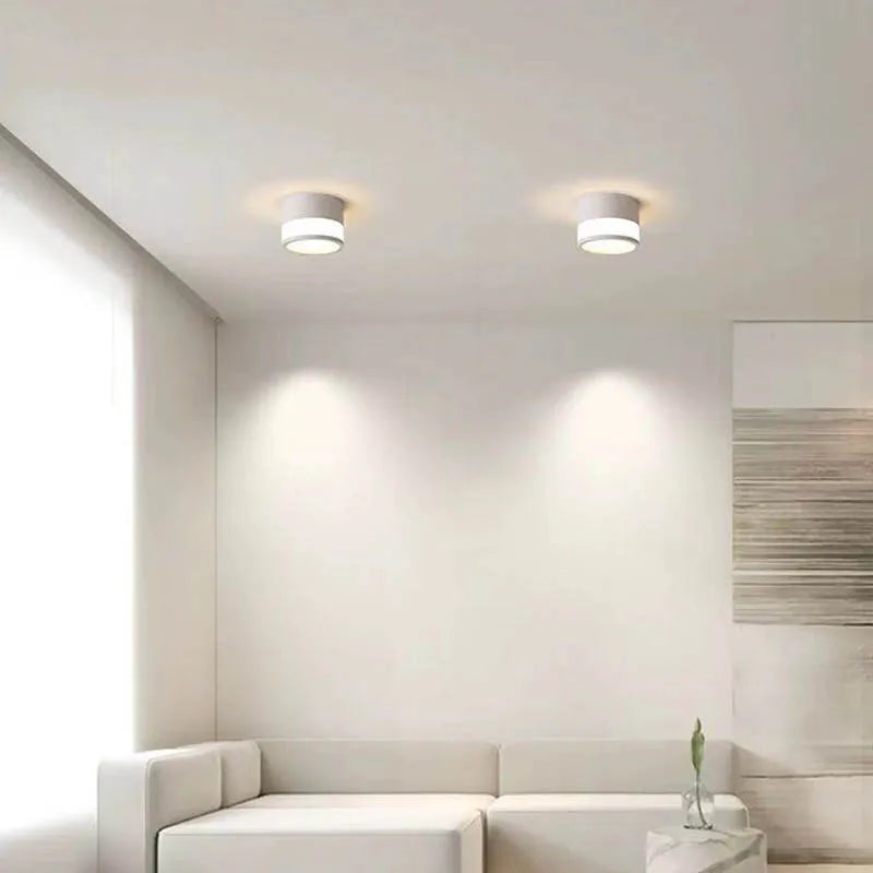 Beathan - Modern Surface Mounted Ceiling Downlight LED