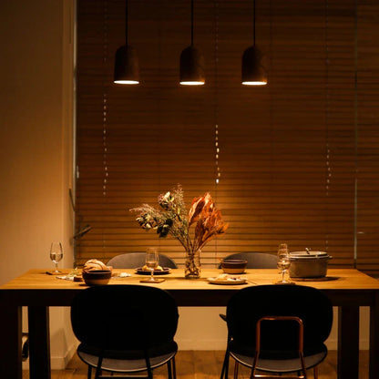 Ester - Modern Natural Wooden Walnut Dome Hanging Pendant Ceiling Light