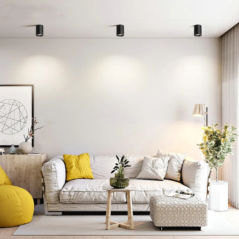 Stasia - Surface Mounted Modern Rotatable Ceiling Downlight