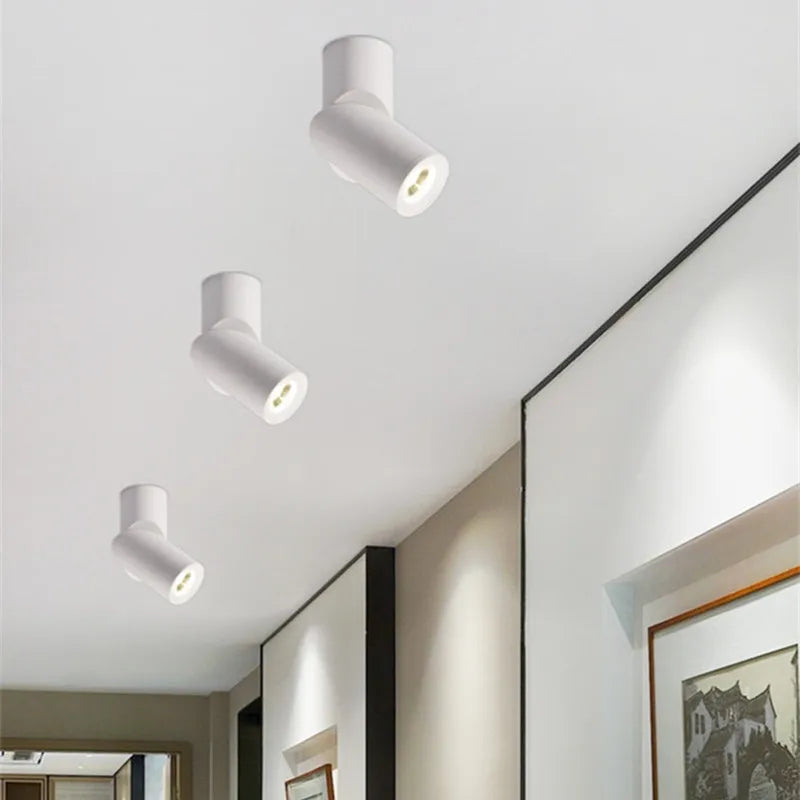 Salgado - LED Ceiling Downlight Dimmable Surface Mounted