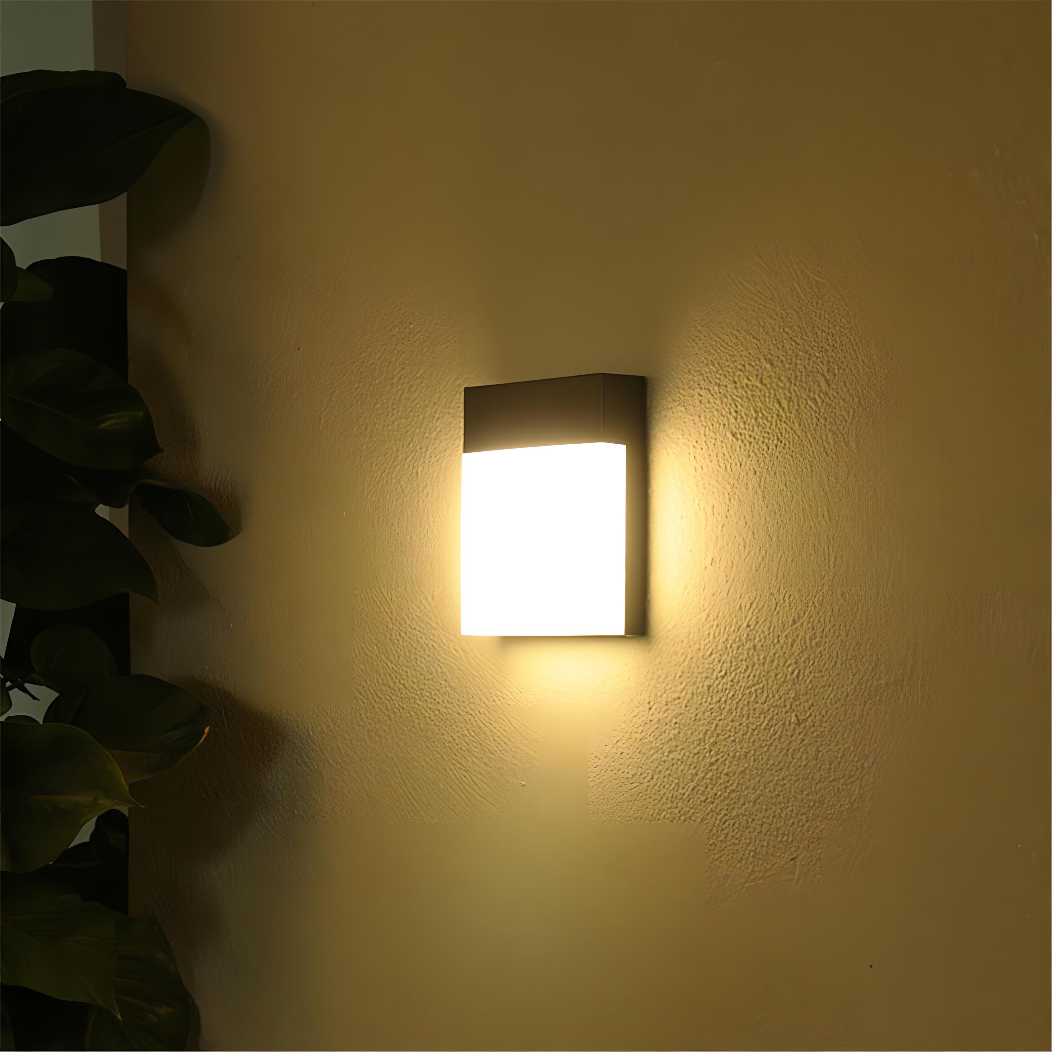 Rex - Modern Outdoor Square LED Light Box Wall Light