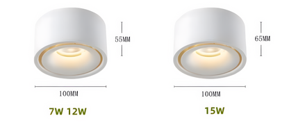 Vasiliev - Anti-Glare Surface Mounted LED Ceiling Downlight Dimmable Spotlight