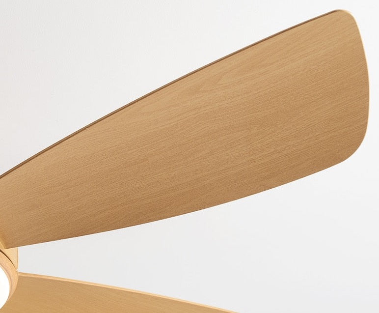 Umair - Nordic Light Ceiling Fan Remote Control