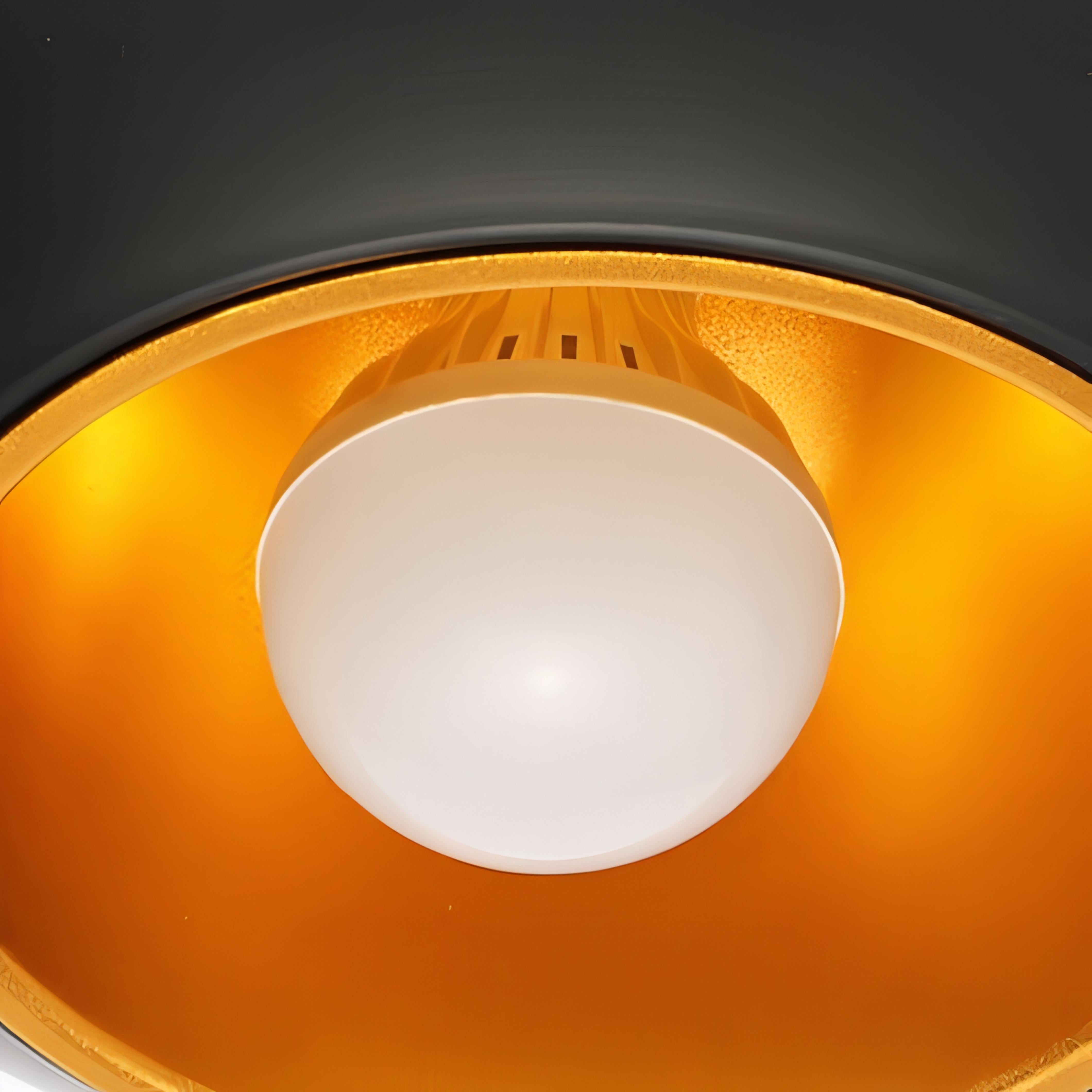 Jaxxon - Modern Bronze Apple Round Hanging Pendant Ceiling Light