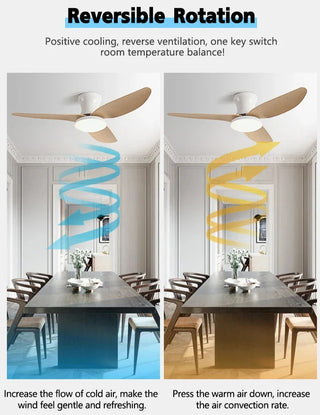 Beasley - Modern 3 Blade 40Inch Remote Control Ceiling Fan with Light