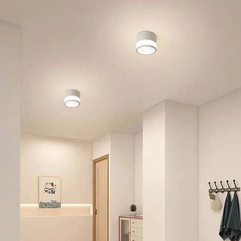 Beathan - Modern Surface Mounted Ceiling Downlight LED