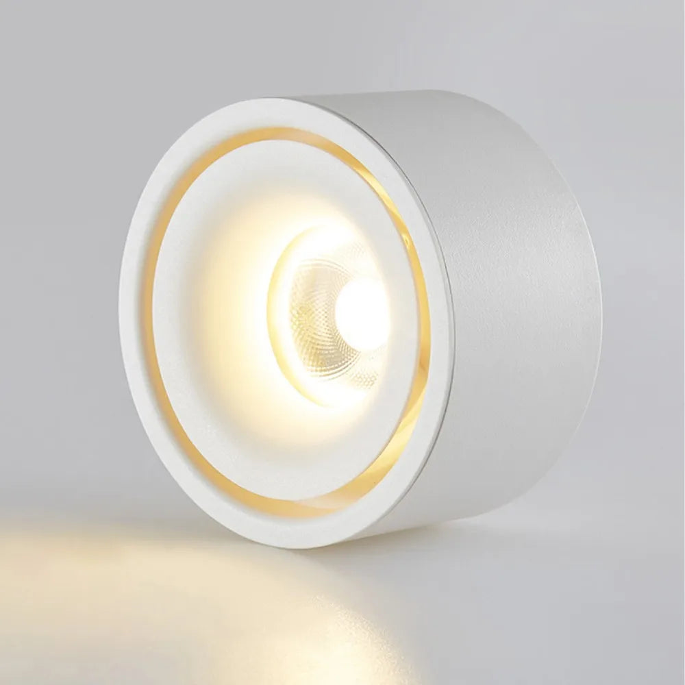 Vasiliev - Anti-Glare Surface Mounted LED Ceiling Downlight Dimmable Spotlight