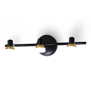 Halley - Modern Brass Adjustable Heads Vanity Light