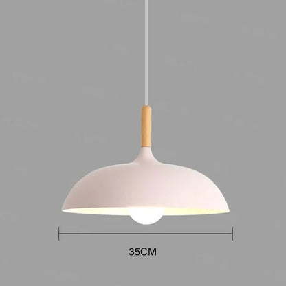 Randoe - Nordic Modern Nordic Round Dish Pendant Ceiling Light