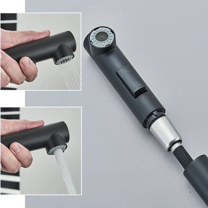 Augustus - Pull Out Kitchen Filtered Dual Sprayer Tap