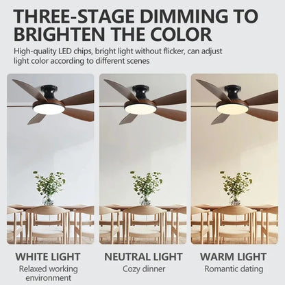 Umair - Nordic Light Ceiling Fan Remote Control