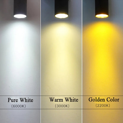 Cason - IP65 Waterproof Up/Down Shell LED Outdoor Wall Light