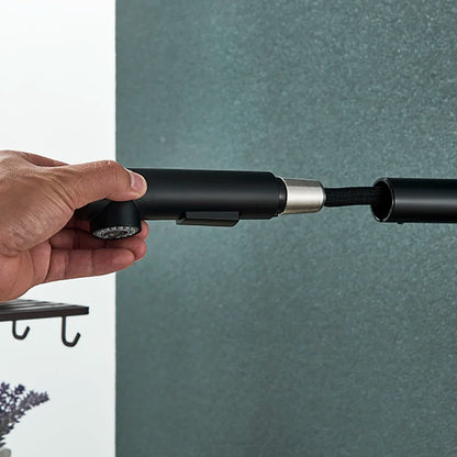 Augustus - Pull Out Kitchen Filtered Dual Sprayer Tap