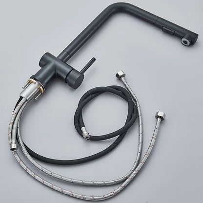 Augustus - Pull Out Kitchen Filtered Dual Sprayer Tap