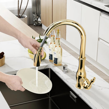 Santino - Kitchen Single Handle Pull Out Swivel Mixer Tap