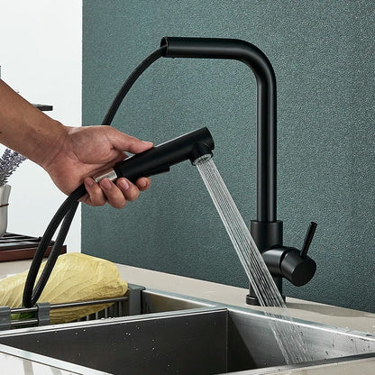 Augustus - Pull Out Kitchen Filtered Dual Sprayer Tap
