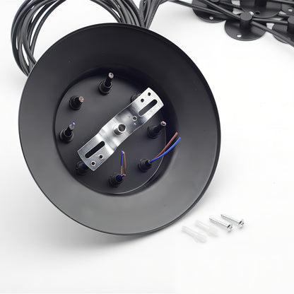 Isabella - Spider Cord Multi Head Hanging Ceiling Light