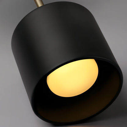 Aisilan - Acrylic Hanging Round Gold Modern Wall Light