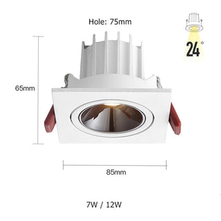 Russell - Angle Adjustable Recessed Ceiling Down Light