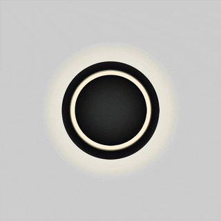 Zayden - 360 Degree Rotatable Modern Wall Light